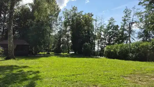 Зеленая роща - 47