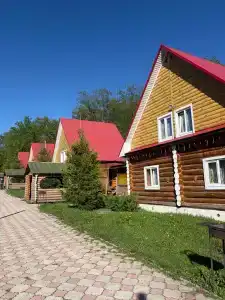Алга - 31