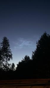 Листья - 40