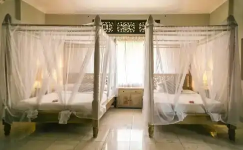Honeymoon - 1