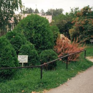 Парк Птиц - 7