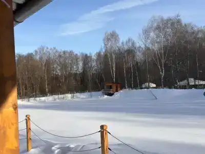 Voronovo Village - 22