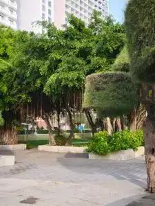 Imperial Nha Trang - 23