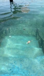 Centara Grand Lagoon Maldives - 23