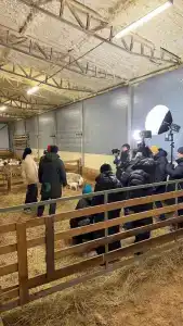 Дорпер-Фарм - 47