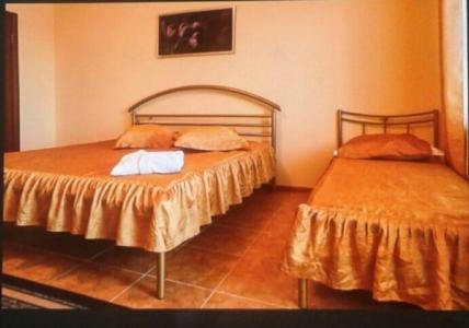 Dacha Delfin - 4