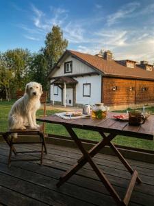 Rayok Barn - 21