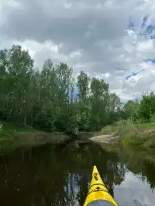 Своя волна - 37