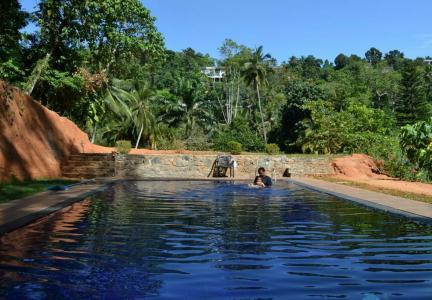 Sweet Cinnamon Kandy - 9