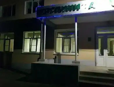 Тюльпан - 24