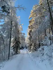 Эко-отель Someroya - 9