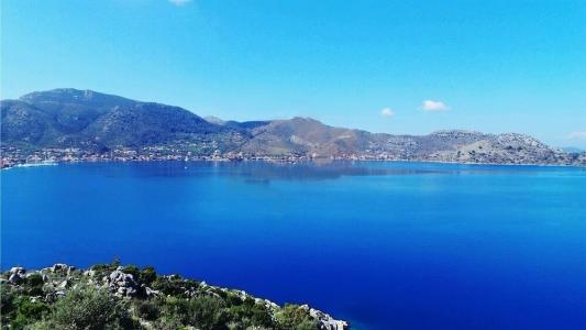 Selimhan - 2