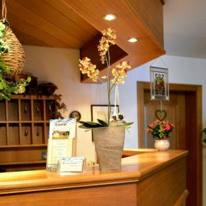 Gasthof Esterer - 4