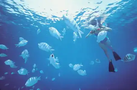 Steigenberger Aqua Magic Red Sea - 39