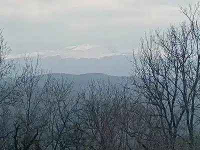 Сириус Бай - 23