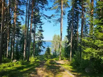 Заречье - 1