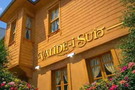 valide i maide - 26