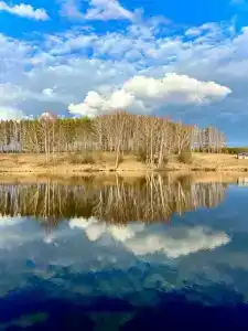 Лес & Озеро - 10