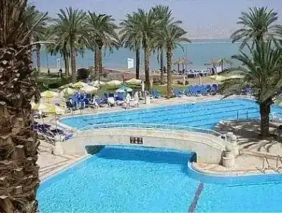 Vert Dead Sea - 8