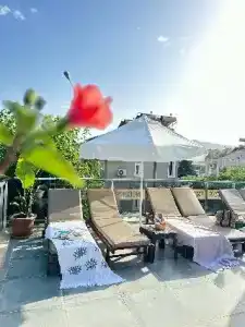 Mogons Exclusive - 7