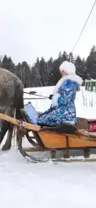 Эко изба - 5