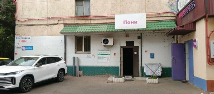 Пони - 21