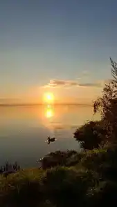 Гордеева дача - 2