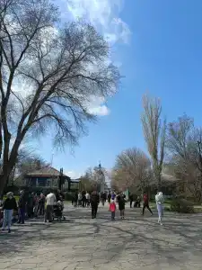 Старочеркасский - 4