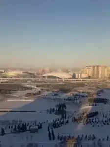 Oasis - 3