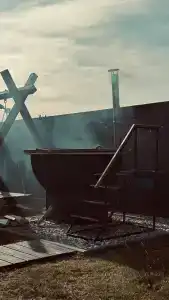 Страусы Биляра - 22