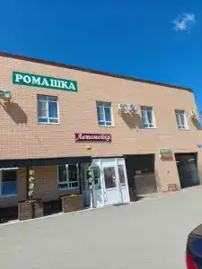 Ромашка - 27