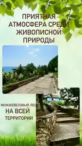 у Ипполита - 22