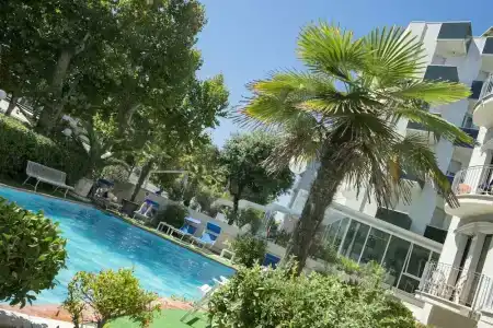 Ambassador - 20