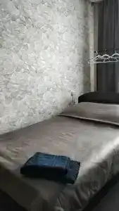 Светлана - 5