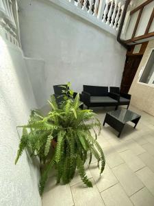 У Роберта - 49