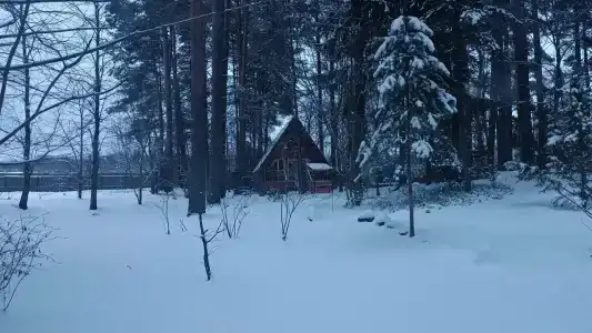 Домики на Волге - 20
