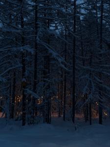 В лесу как дома - 44