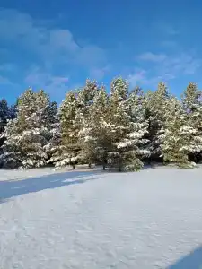 КондурЧан - 4