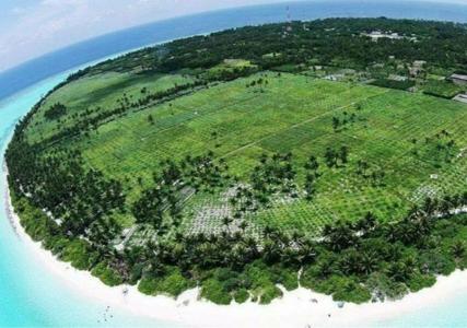 Thoddoo Retreat Grand - 8
