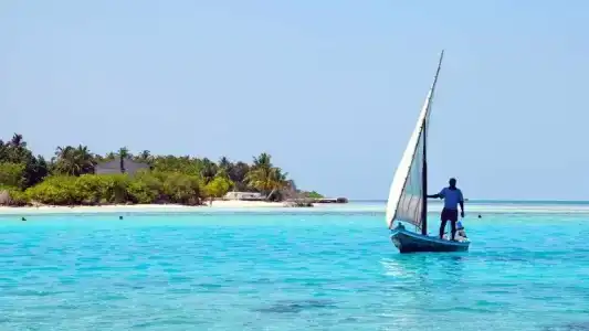 Bibee Maldives - 47