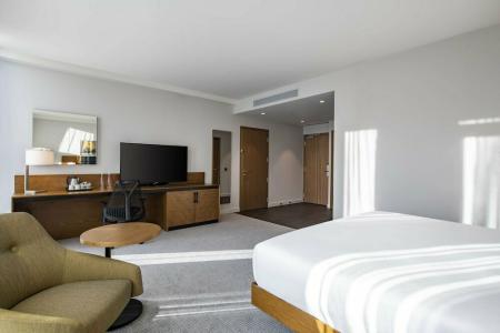 Hilton Garden Inn Tbilisi Chavchavadze - 42