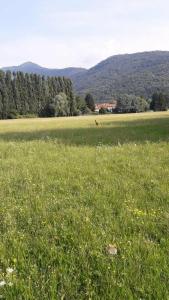 La Sorgente Bed & Breakfast - 11