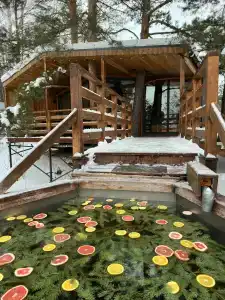 Три Сосны - 1
