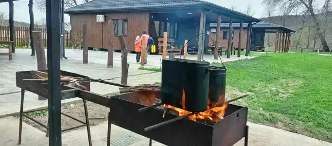 Дикий аист - 23