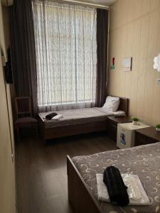 Тренд - 24