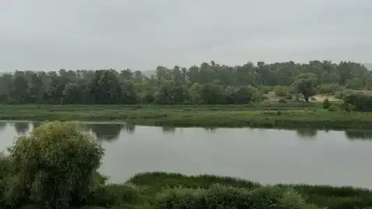 у Дона - 14