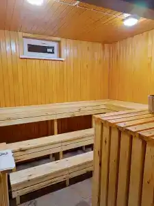 Скворцы - 14