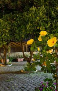 Agriturismo Il Gelsomino Ritrovato - 6