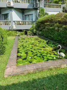 Botany Beach Resort - 29