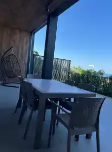 Павлония - 29